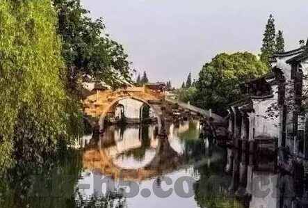 足球比分直播球市-足球比分直播,透视现代球市的脉搏与狂欢